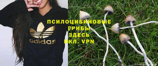 крисы Алексеевка